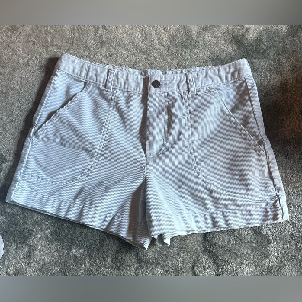 Patagonia Light Blue organic Cotton Shorts